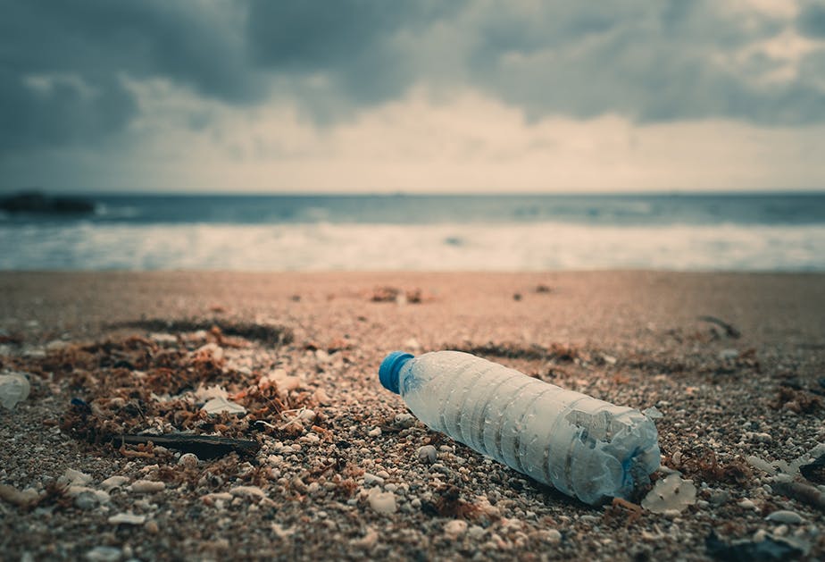abnormal is plastic free